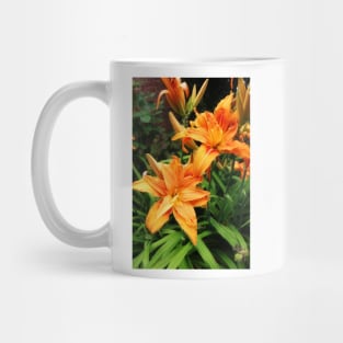 Orange daylily Mug